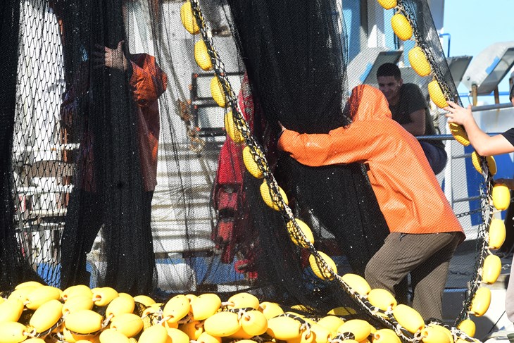 Ilustracija (Snimio Milivoj Mijošek)