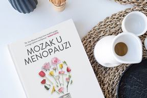 (Mozak u menopauzi)