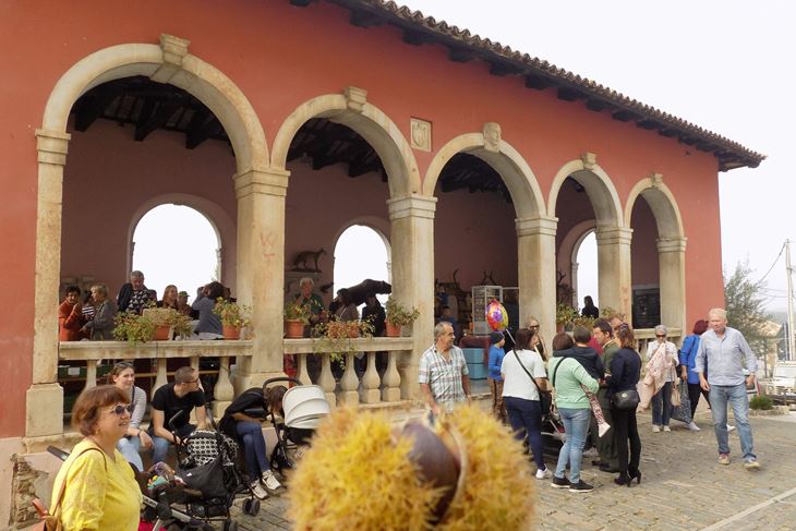 (Snimila Gordana Čalić Šverko)