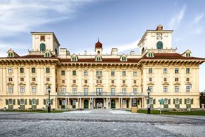 (Foto Esterhazy)