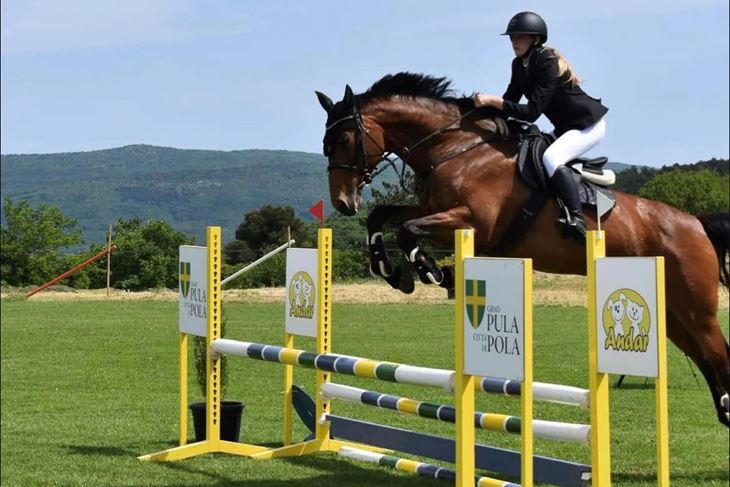 (Foto Konjički klub Medulin)