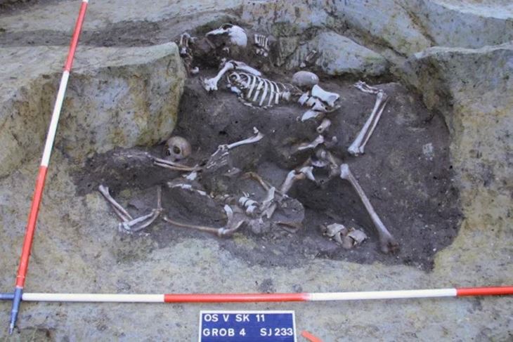 (Foto Mario Novak et al., PLOS One)