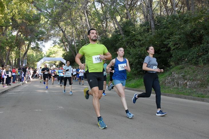 (Snimio Sasa Miljevic / Pixsell)