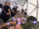 Čak 168 raznih vrsta gljiva bilo je na izložbi u Novigradu (Snimio Zvonimir Guzić)