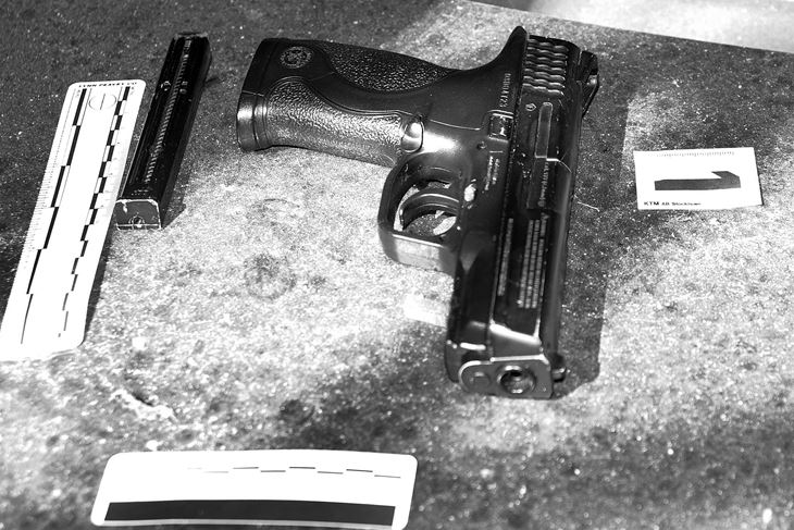 Ilustracija (Snimio Ognjan Alujević)