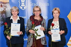 (Grad Pazin)