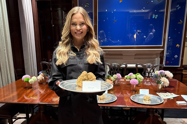 (TZ Istarske županije)