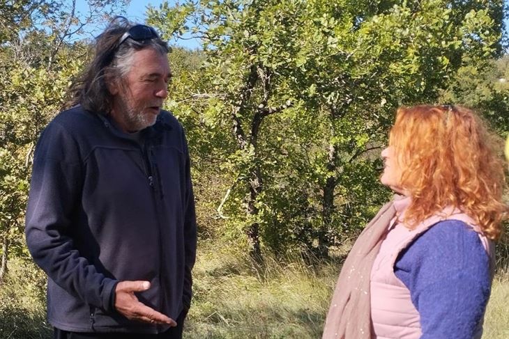 (Modelna šuma Istra)