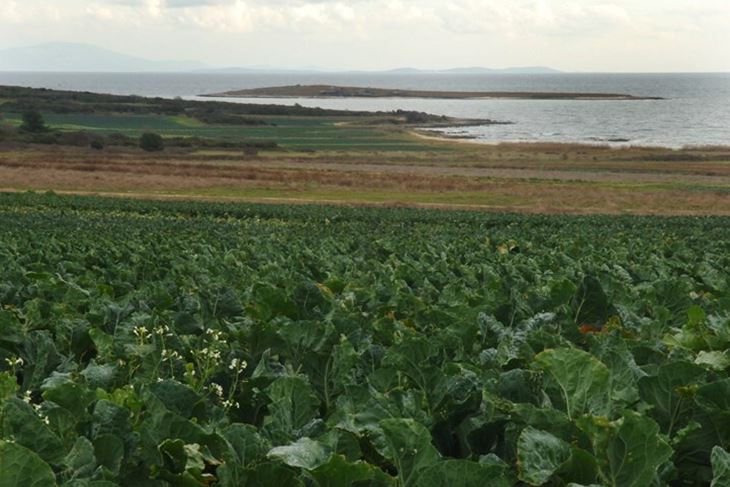 (Arhiva Glasa Istre)