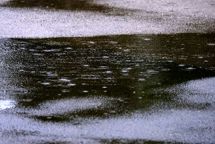 (Snimio Milivoj Mijošek)