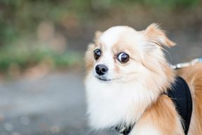 (Unsplash)