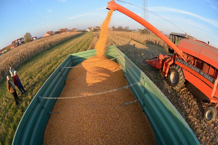 (Snimio Damir Špehar/Pixsell)