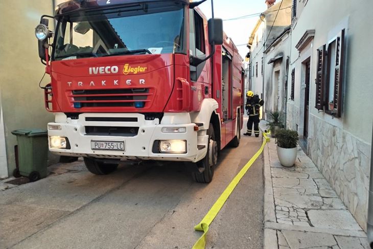 (Foto: Vodnjanski đir)