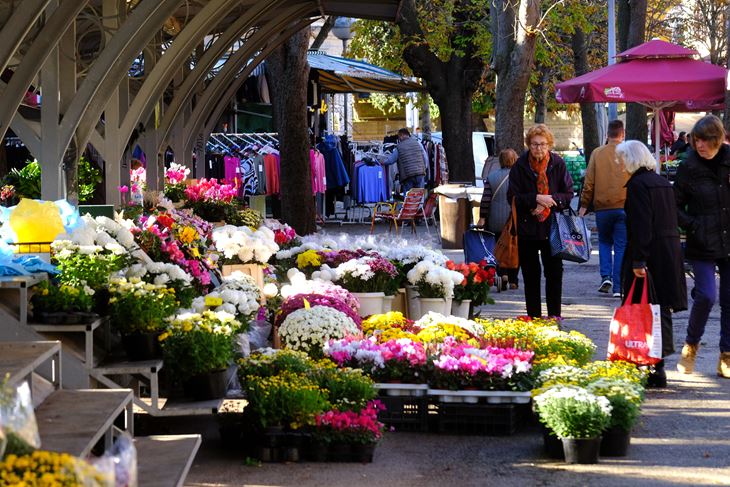 (Snimio Milivoj Mijošek)