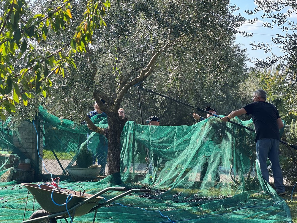 (Snimila Doria Mohorović)