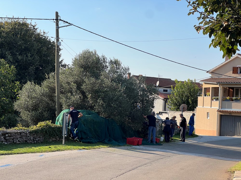 (Snimila Doria Mohorović)