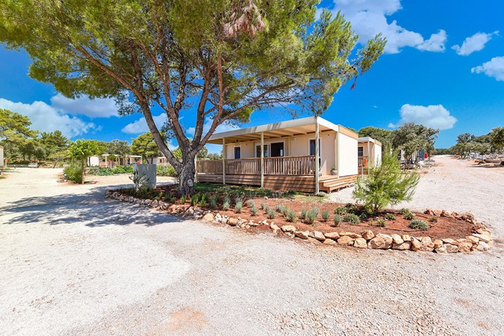 Ilustracija (Mont Trade)