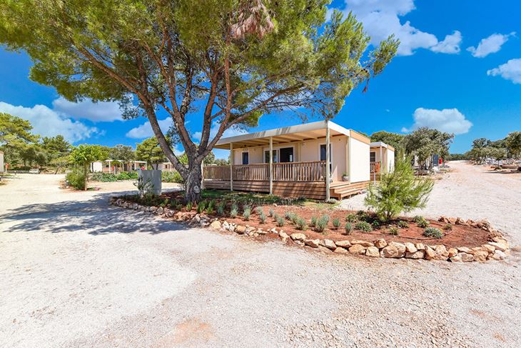 Ilustracija (Mont Trade)