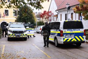 (Foto BORUT ŽIVULOVIĆ/F.A. BOBO)