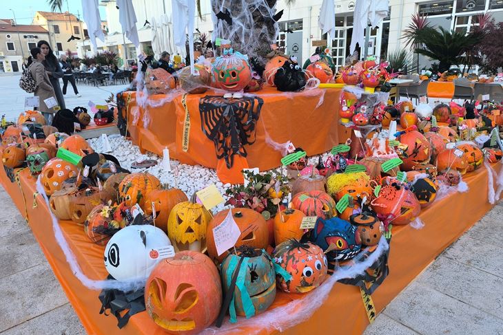 (Snimio Zvonimir Guzić)