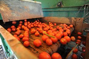 (Snimio Milivoj Mijošek)