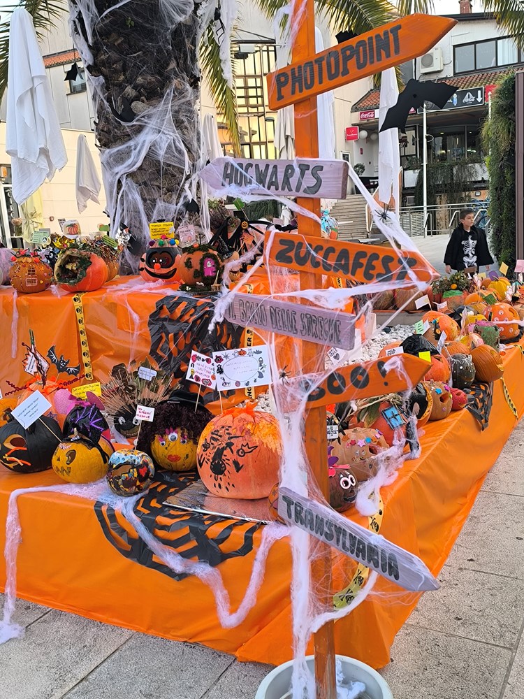 (Snimio Zvonimir Guzić)