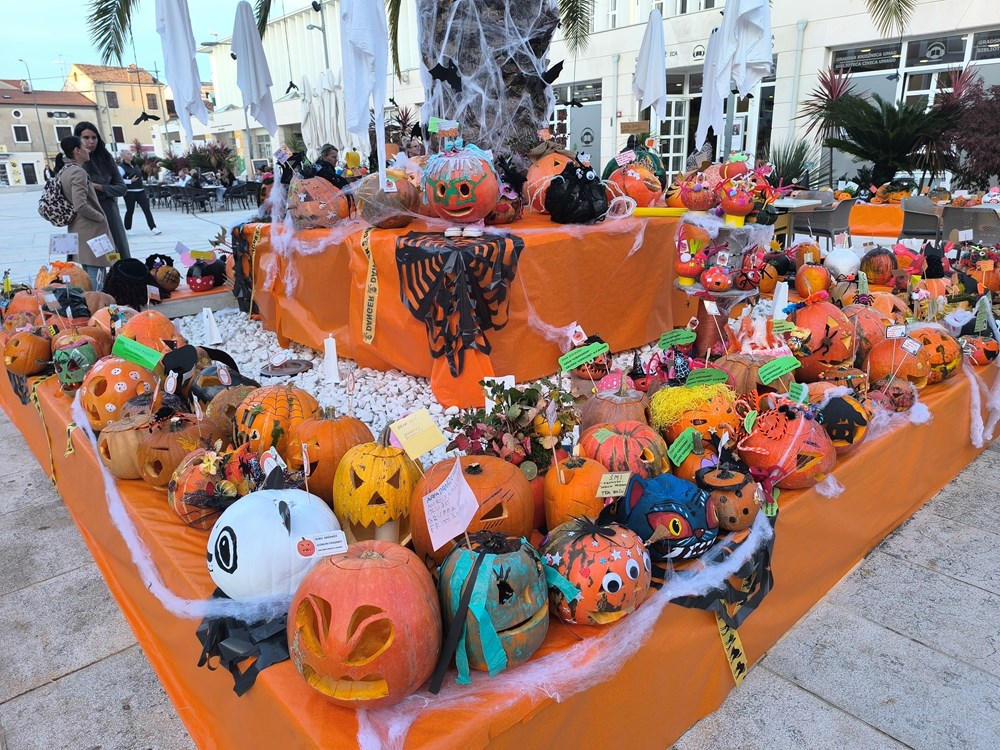 (Snimio Zvonimir Guzić)