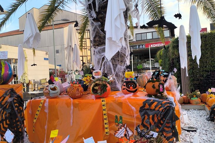 (Snimio Zvonimir Guzić)