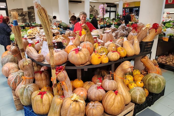 (Snimio Branko Biočić)