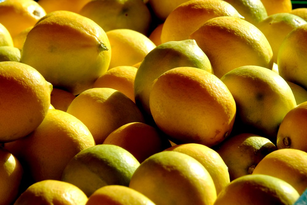 (Snimio Milivoj Mijošek)