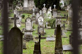 (Snimio Milivoj Mijošek)