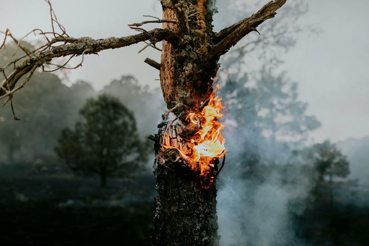 Ilustracija (Pexels)