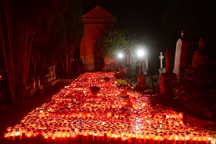 (Snimio Milivoj Mijošek)