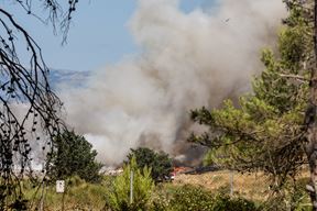 (Snimio Mate Komina)