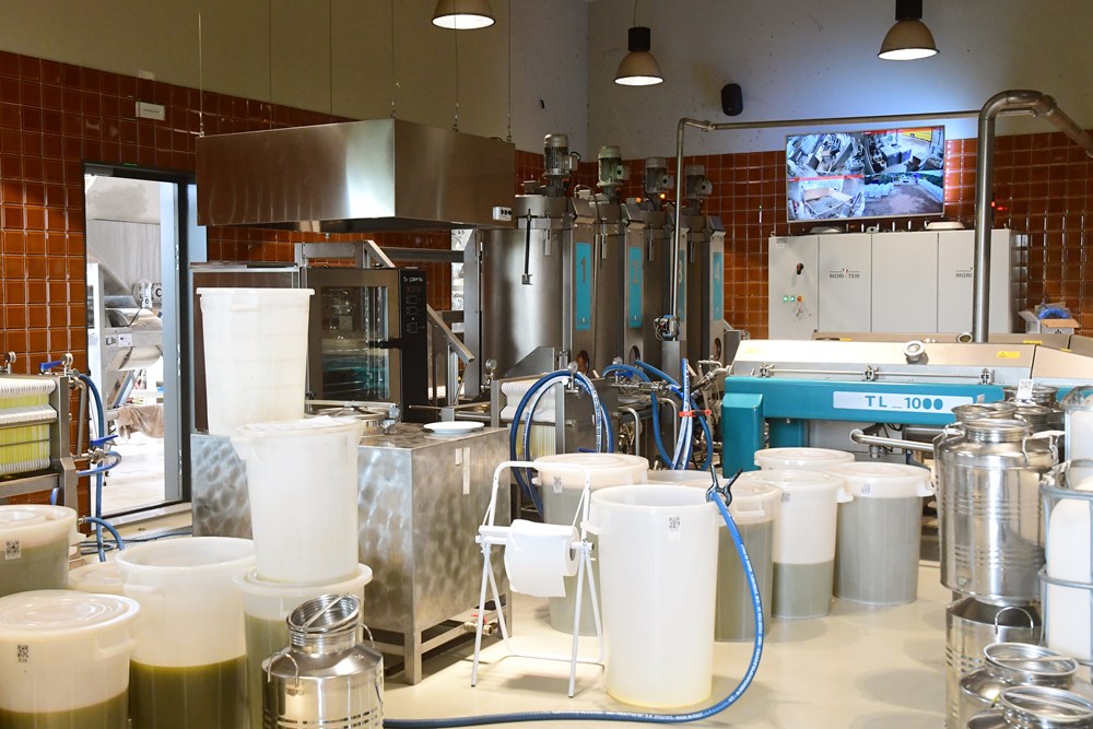 (Snimio Milivoj Mijošek)