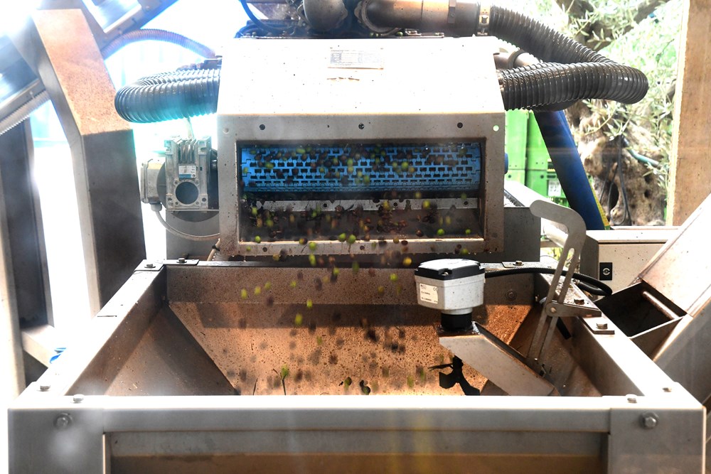 (Snimio Milivoj Mijošek)