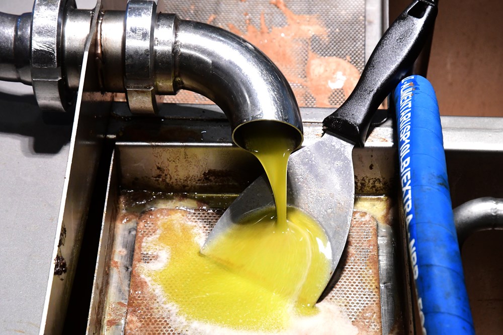 (Snimio Milivoj Mijošek)