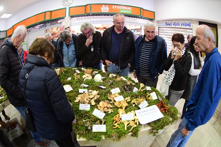 (Snimio Milivoj Mijošek)