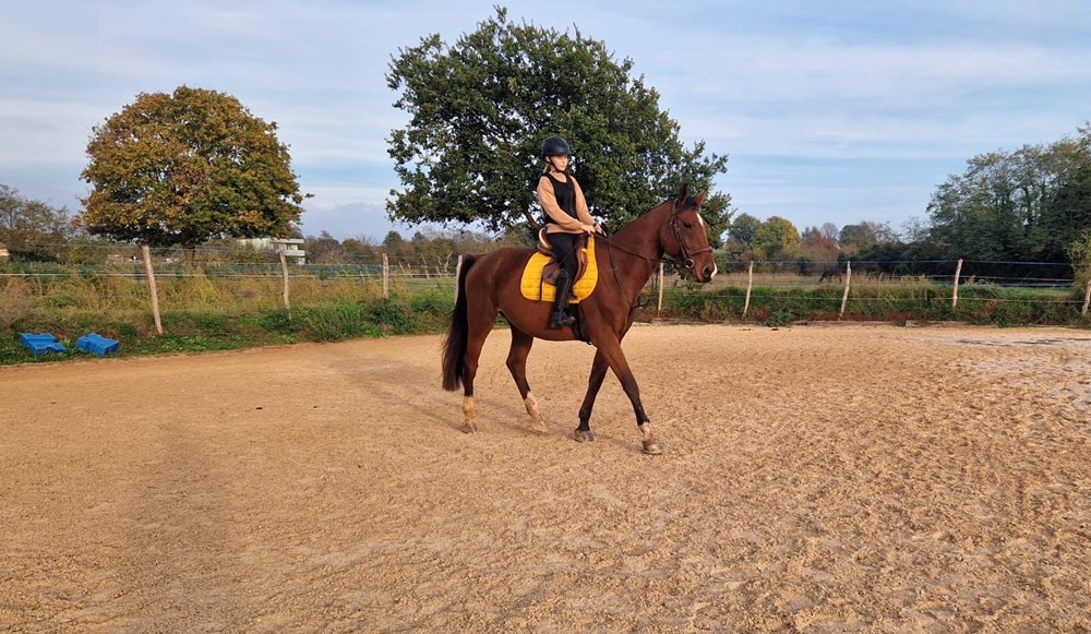 (Foto Konjički savez Istarske županije)