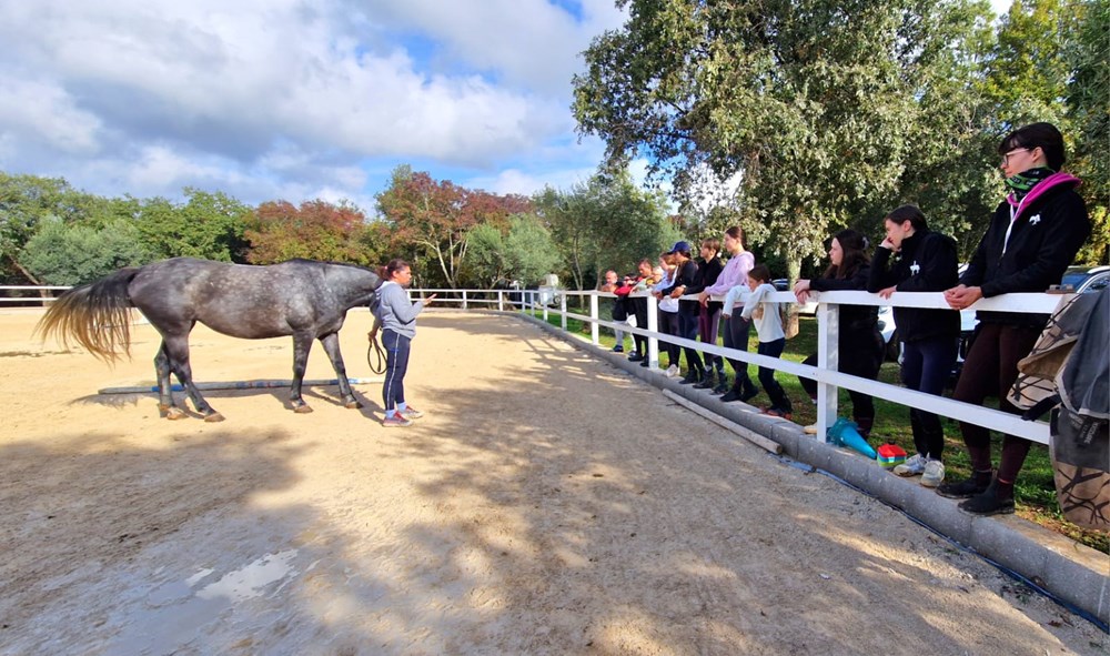 (Foto Konjički savez Istarske županije)