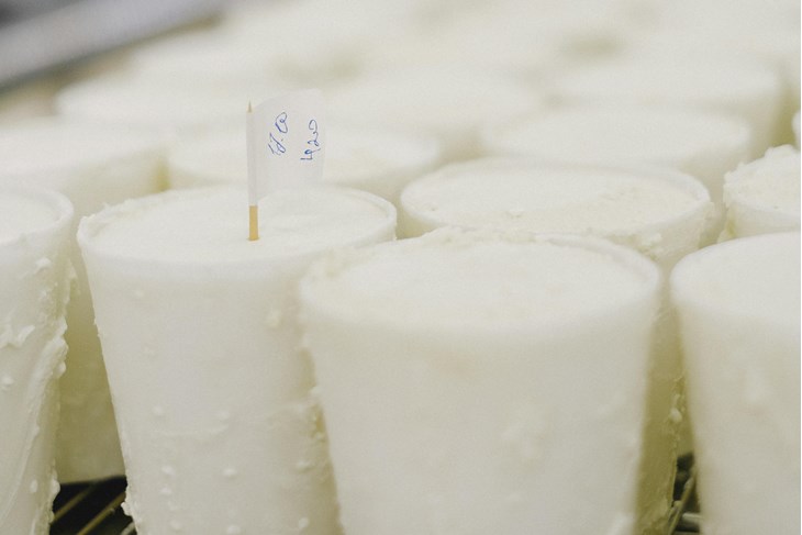 Ilustracija (Pexels)