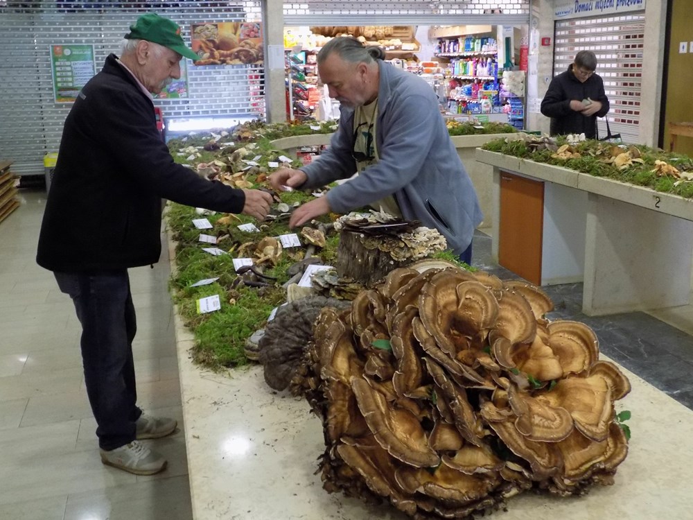 (Snimila Gordana Čalić Šverko)