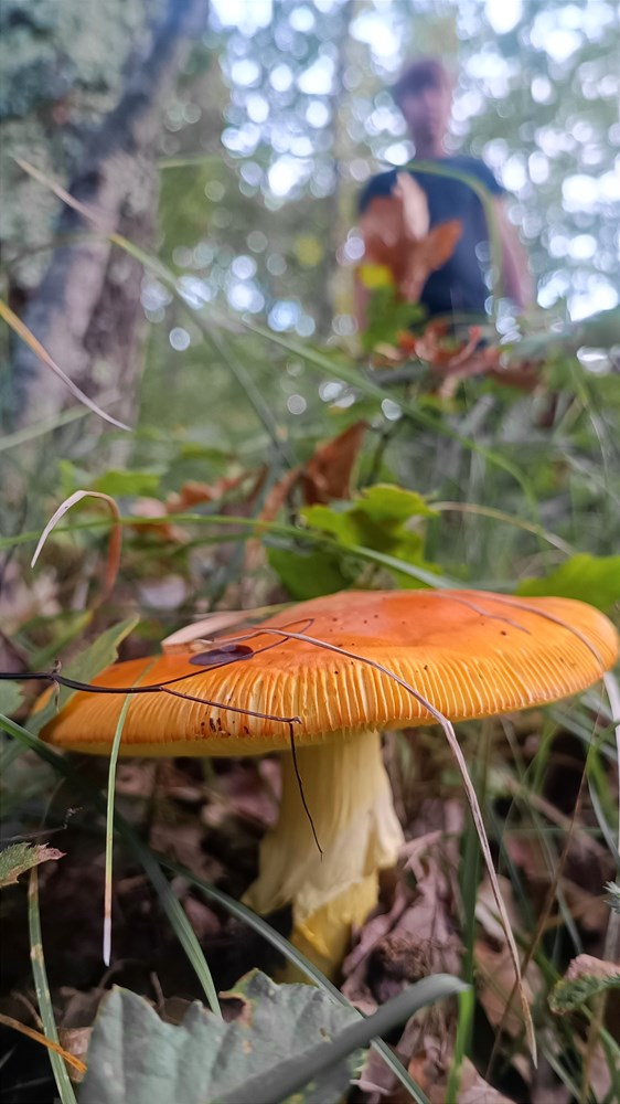 (Snimio Zvjezdan Strahinja)