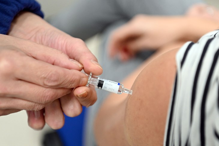 (Snimio Vedran Karuza / Novi list)