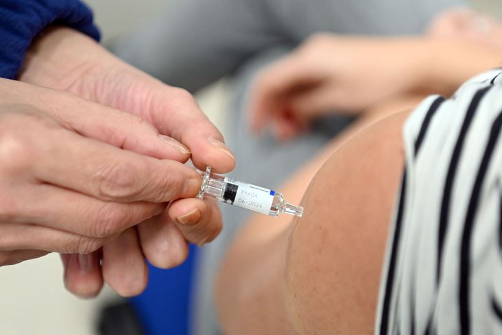 (Snimio Vedran Karuza / Novi list)