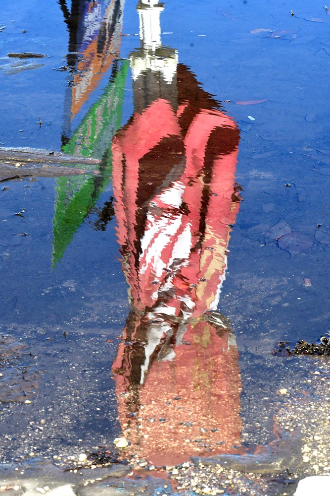 (Snimio Milivoj Mijošek)