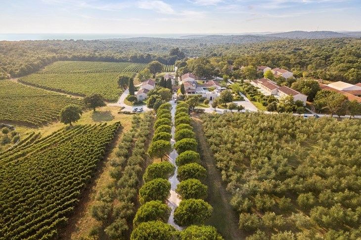 Meneghetti imanje (Virtuoso Luxe Report)