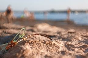 (Foto Zvjezdan Strahinja)