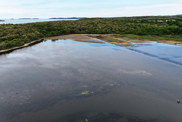 (JU Natura Histrica)