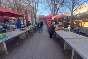 (Snimila Jelena Milović)